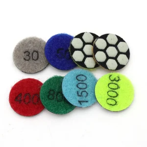 OEM TGS Brand High Efficiency 1 Inch 25mm Diamond Grinding Disc Dry Polishing Buffing Pads for Marble Quartz Glass Stone Angle