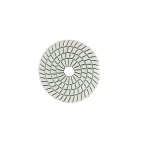 Wet Diamond Polishing Abrasive Discs OEM Customizable for Stone & Quartz Counter-Top